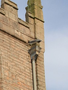 Close up of old drainage to south face of tower